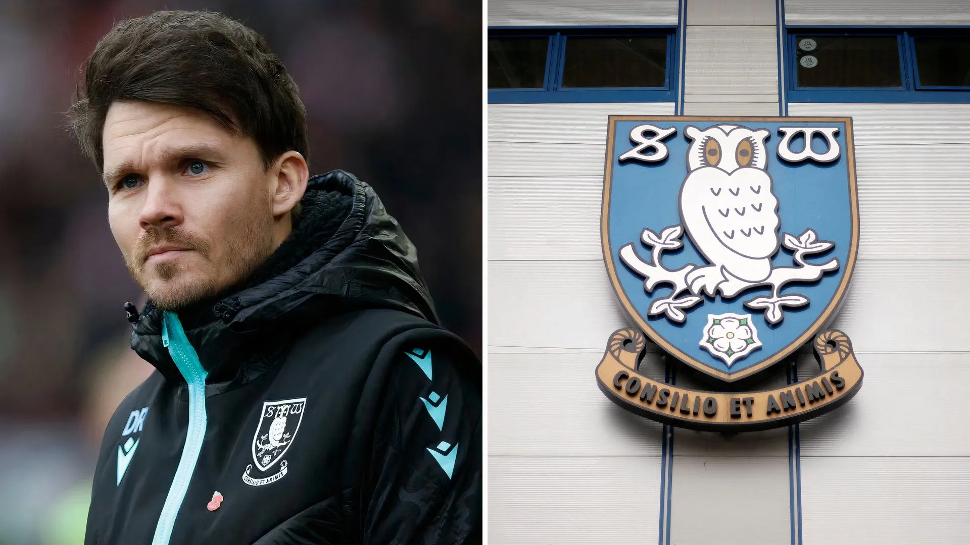HLV Danny Rohl trong bối cảnh bất ổn của Sheffield Wednesday