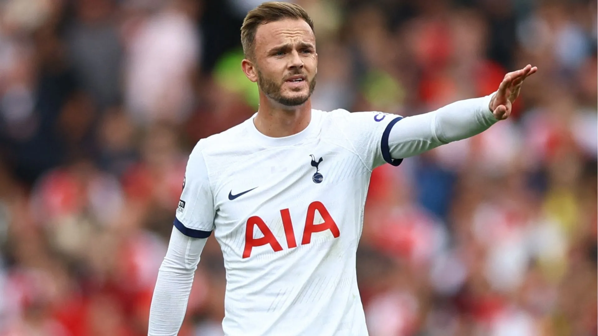 James Maddison ra mắt và thi đấu cho Tottenham Hotspur