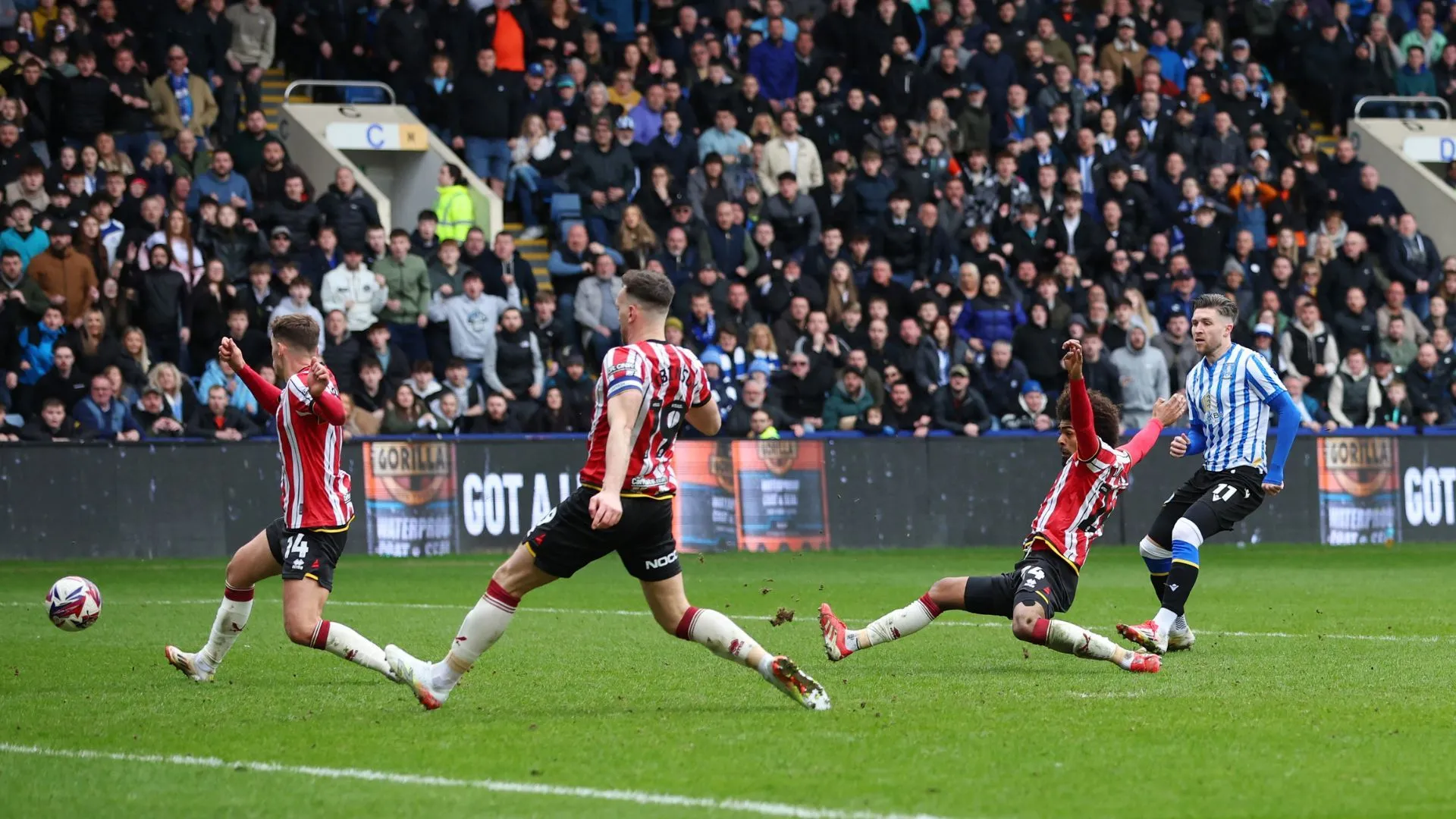 Josh Windass ăn mừng bàn thắng quan trọng cho Sheffield Wednesday trong một trận derby