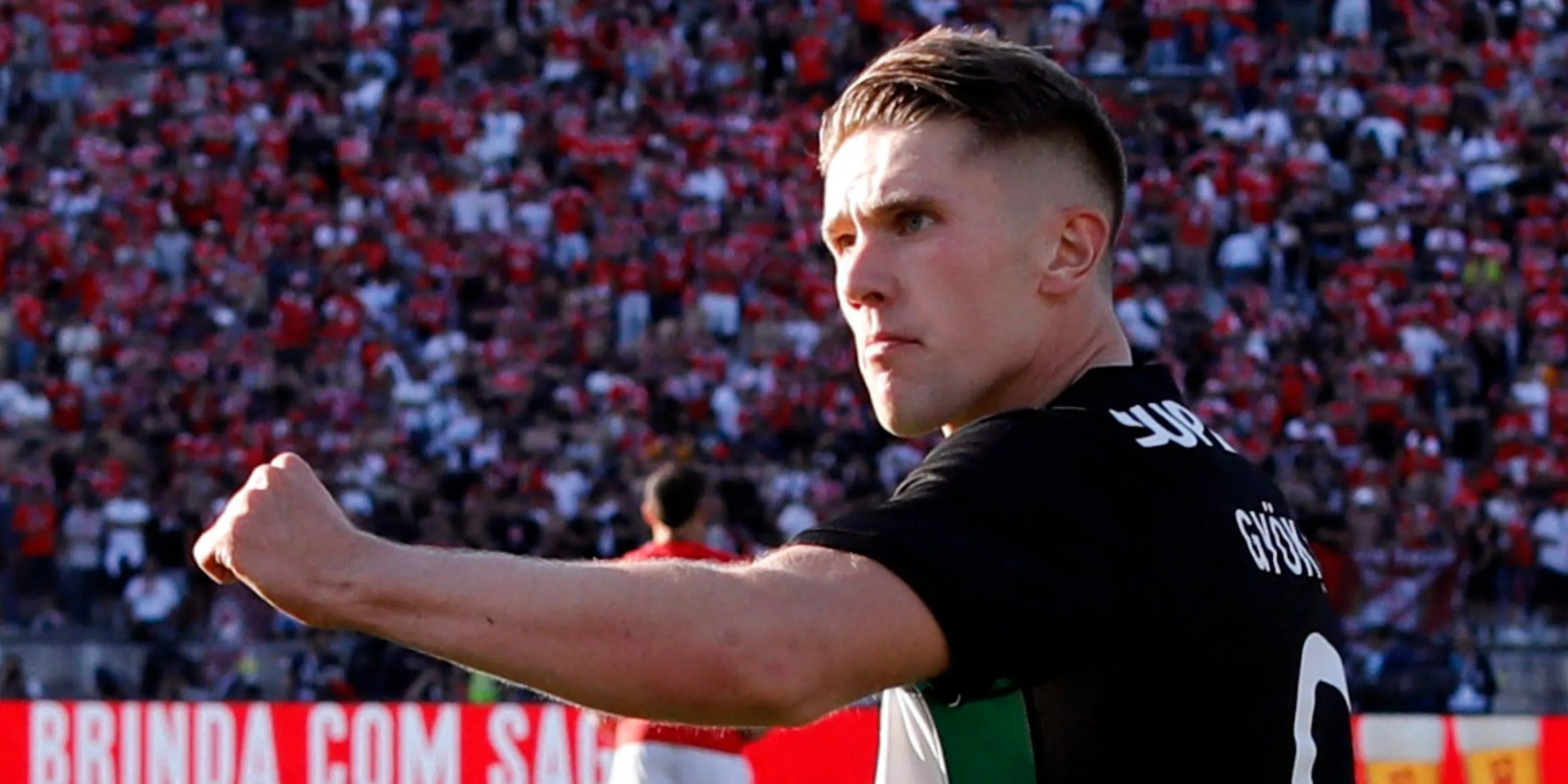 Viktor Gyokeres trong màu áo Sporting CP tại Primeira Liga Bồ Đào Nha